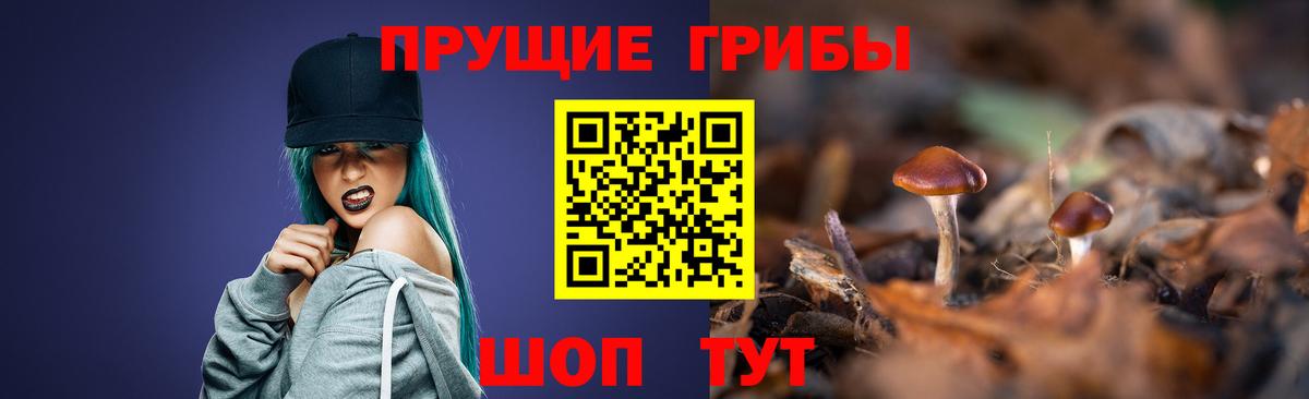 Галлюциногенные грибы Magic Shrooms  Вход с VPN  Коркино  Галлюциногенные грибы Magic Shrooms 
